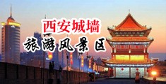 大鸡巴艹女人逼中国陕西-西安城墙旅游风景区