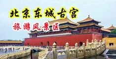 黑丝奶子鸡巴中国北京-东城古宫旅游风景区
